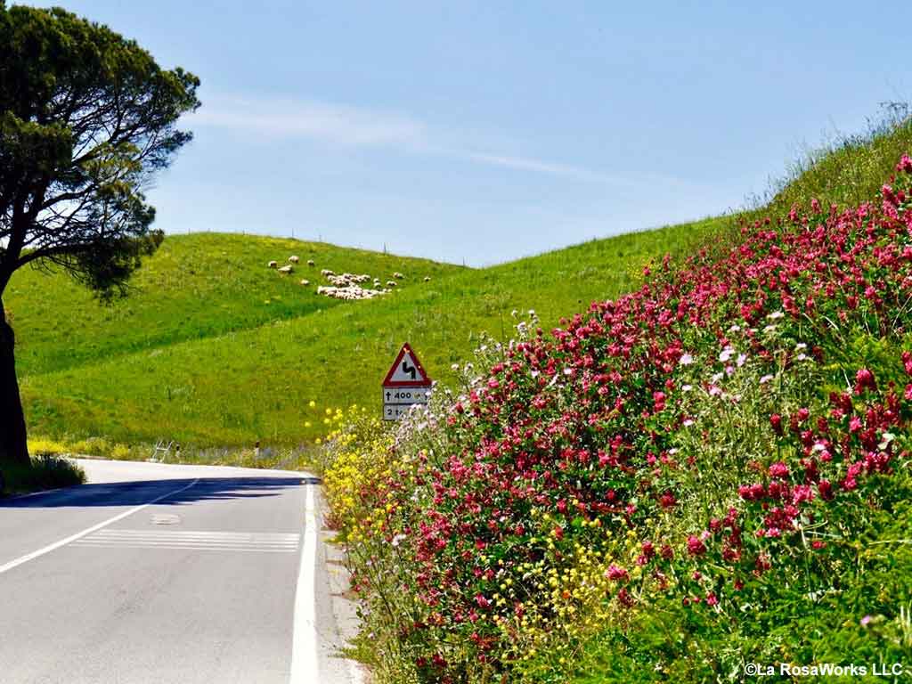 Image link of a country Road in Sicily, linked to La RosaWorks&rsquo; travel information page.