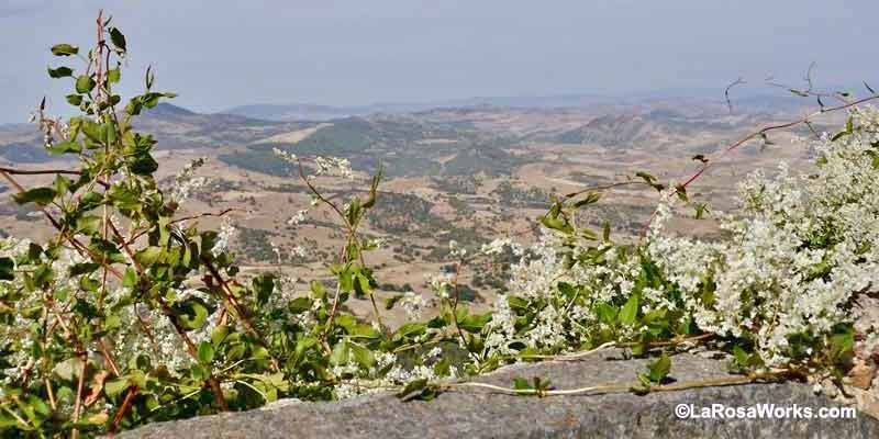 A restorative landscape in Sicily